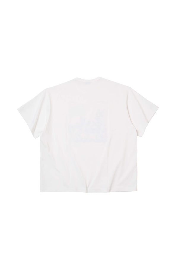 26SBM-T09234-00-2