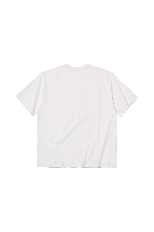 26SBM-T10234-00-2
