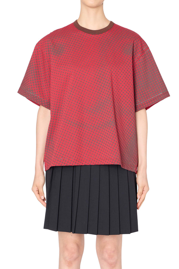 26SCL-T04206-18-1