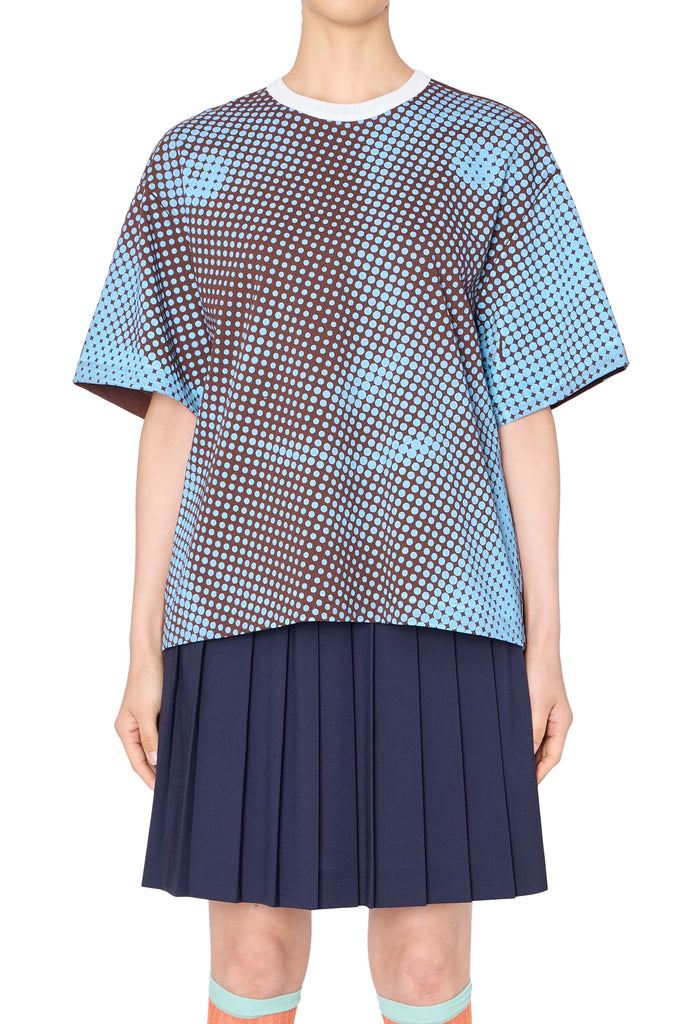 26SCL-T04206-37-1