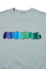 26WBM-T07233-52-3